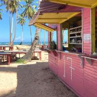 Comida dominicana en las playas costa norte 