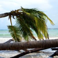 Cyclone irma 2017