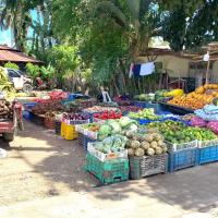 Fresh fruit and local food of dominican republic 1