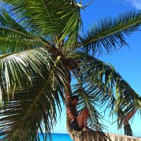 Retraite sous les cocotiers 1